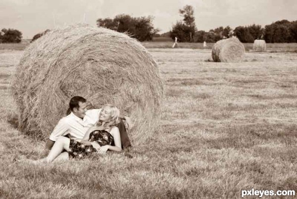 Farm Love